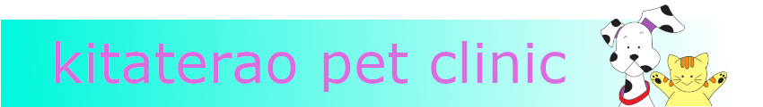 kitaterao pet clinic